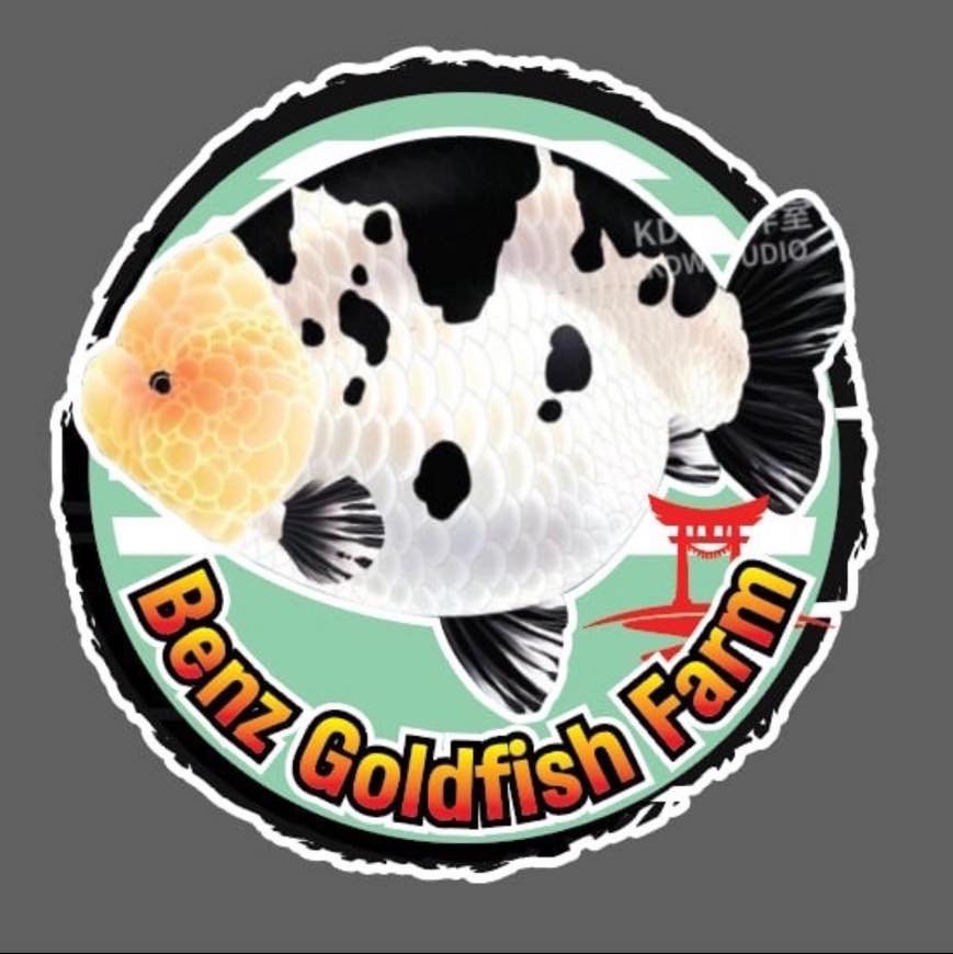 Saksit goldfish home 2022 | Bangkok