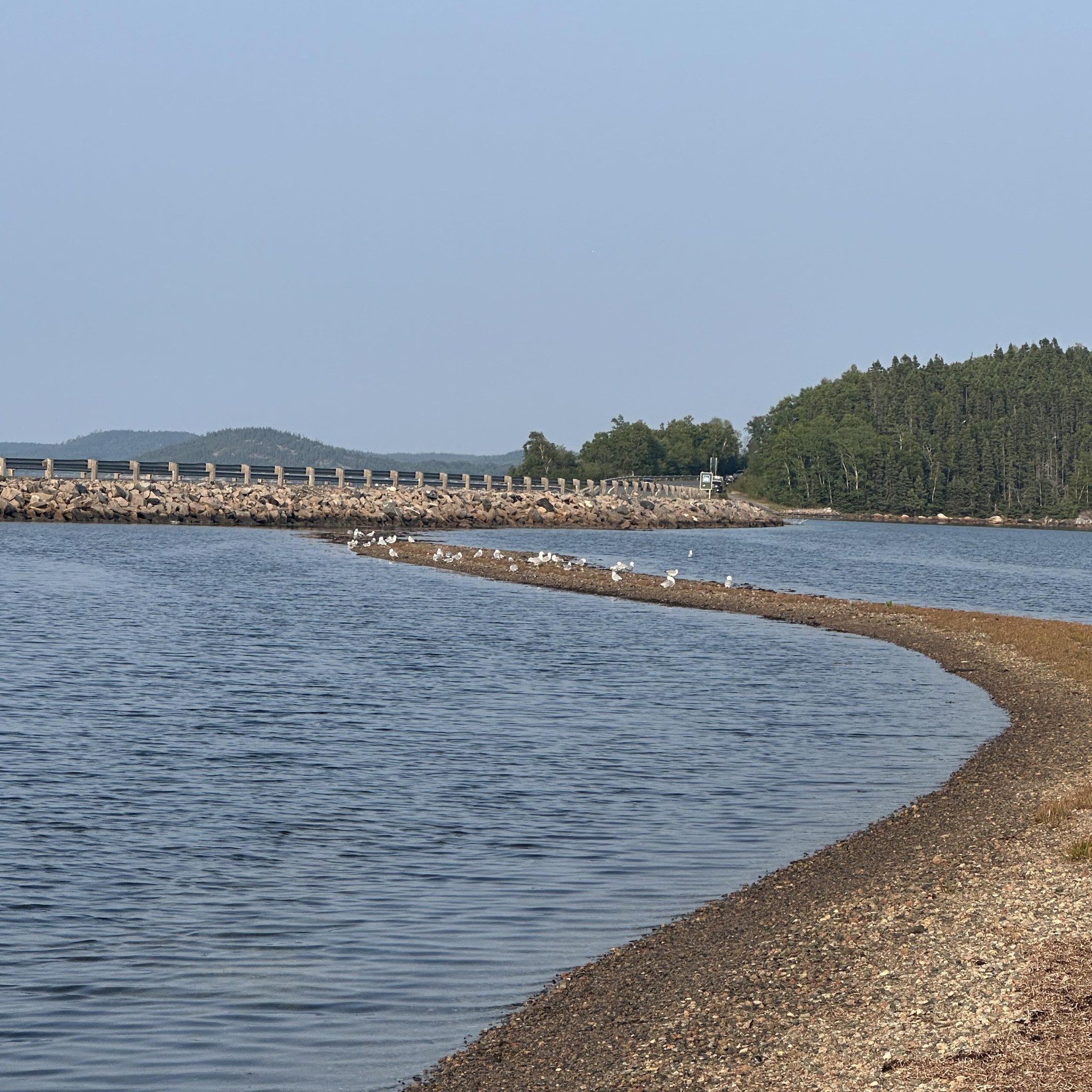 Sutreen Hardwoods | Eastport NL
