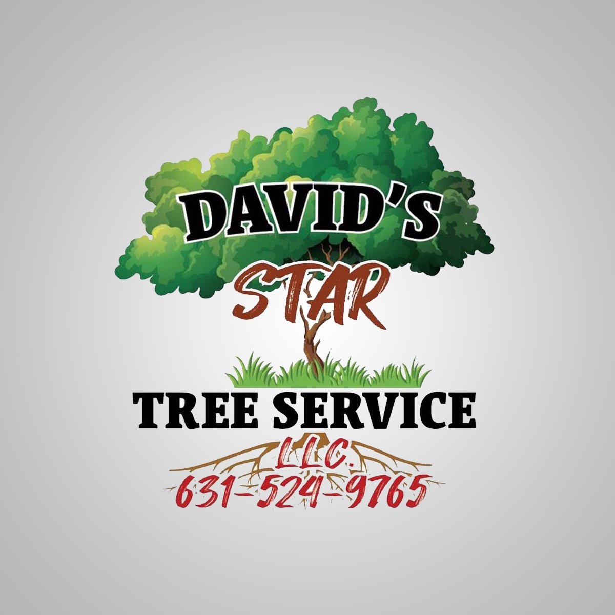 David's Star Tree Service | New York NY