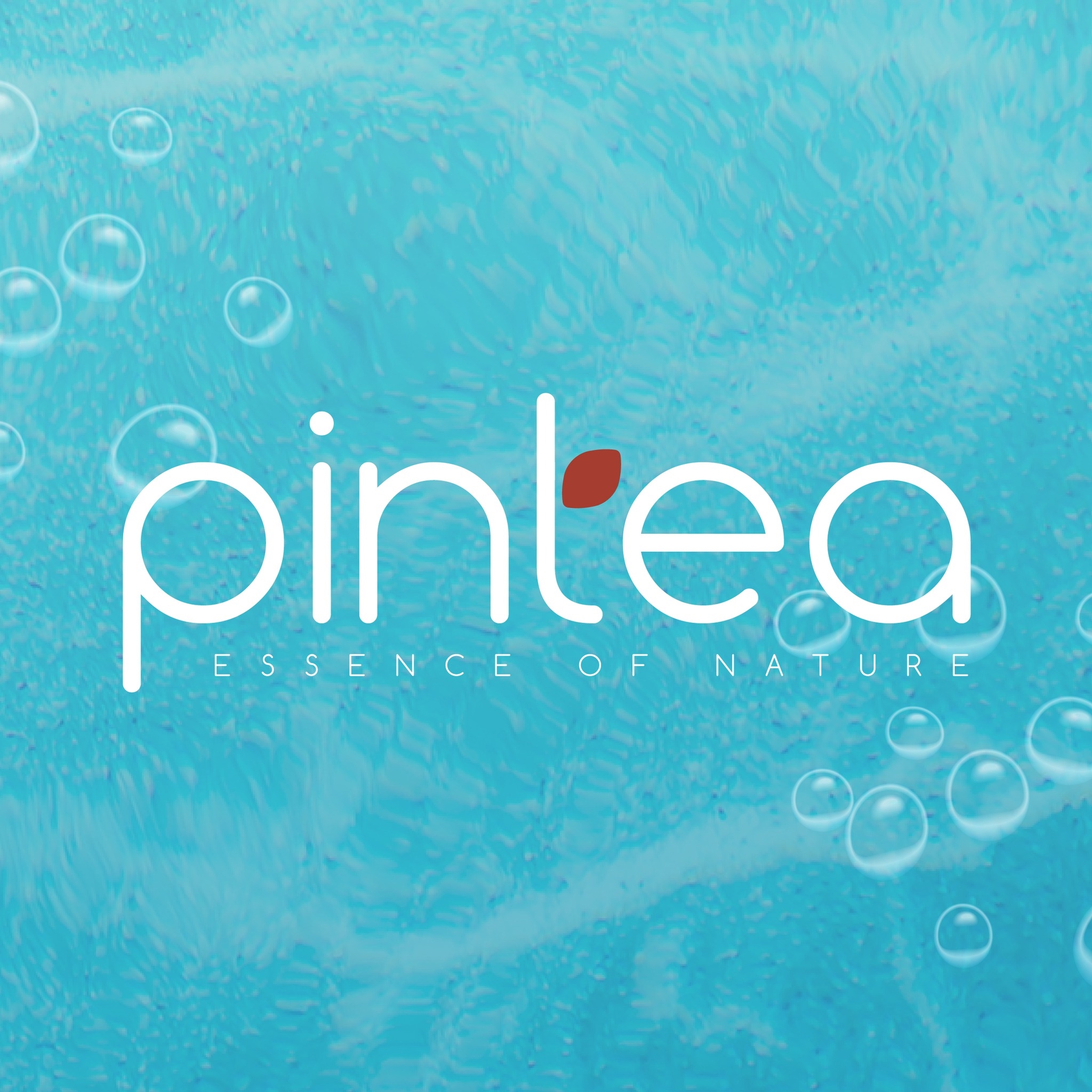 Pin Tea Malaysia | Johor Bahru