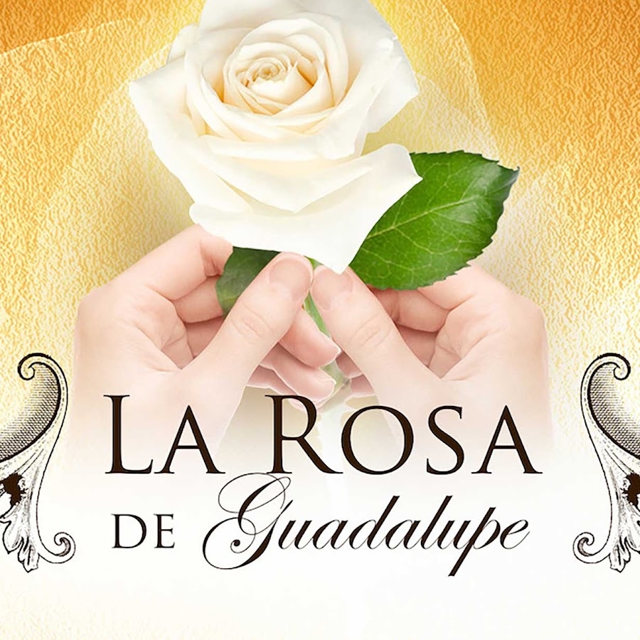 Capítulo Completo: https://pelizona.com/category/la-rosa-de-guadalupe ...