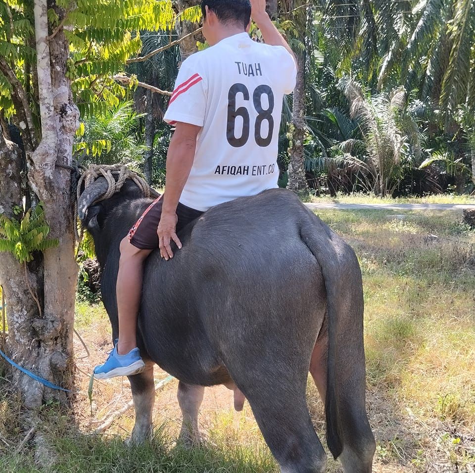 Malaysia - Pertembungan 11 penjuru di DUN Karambunai, 6 calon ...