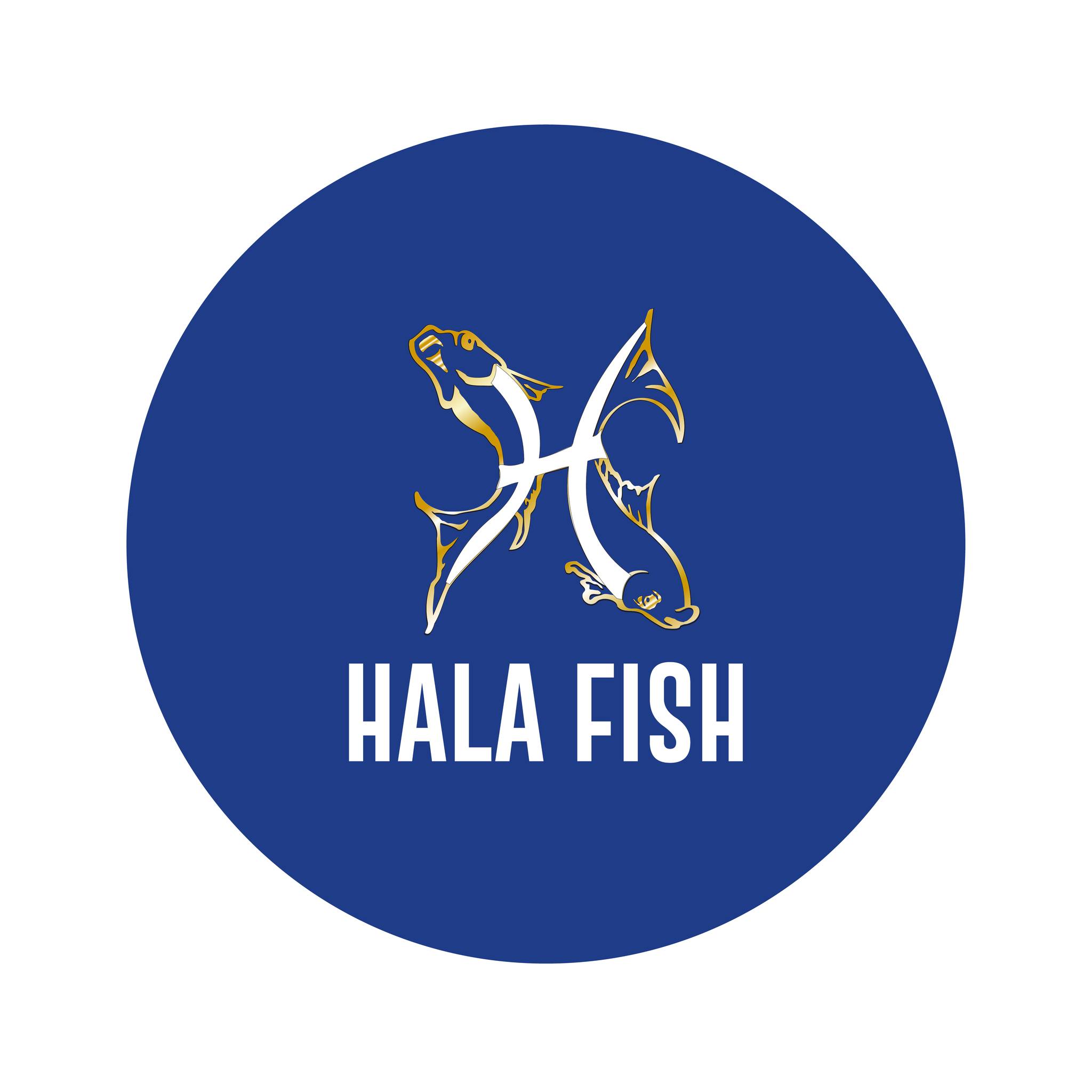 Hala fish | Fez