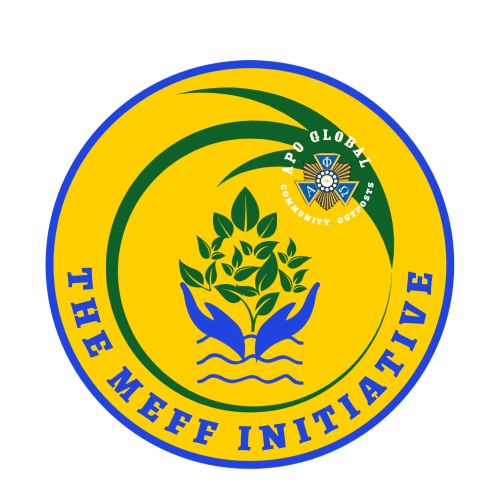 The MEFF Initiative