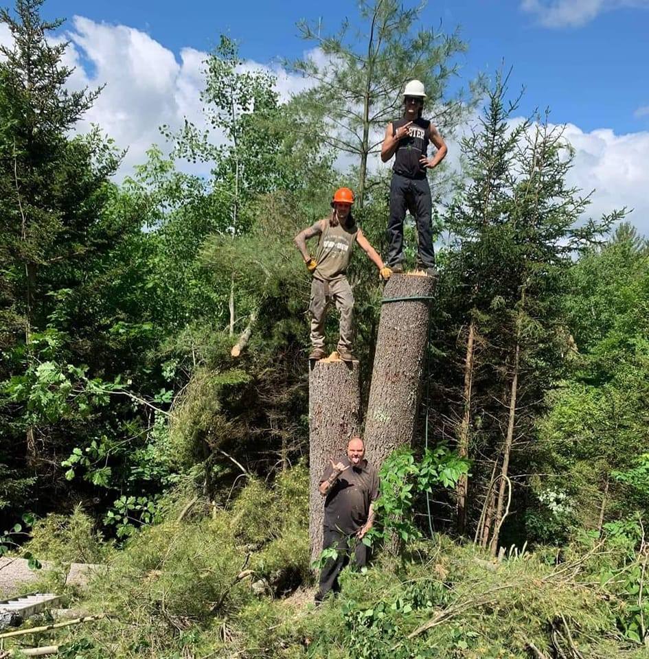 DB Tree Works | Cuttingsville VT