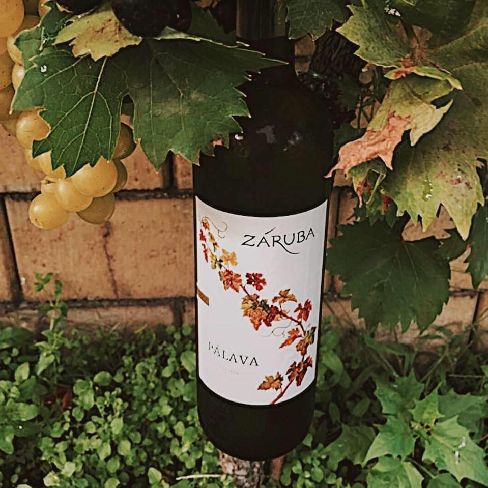 Záruba Winery | Vinosady