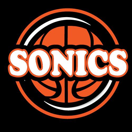Sensore Cestello Per Cabinati Arcade &ndash; Sonic / Street Basketball &ndash; Ricambio Generico