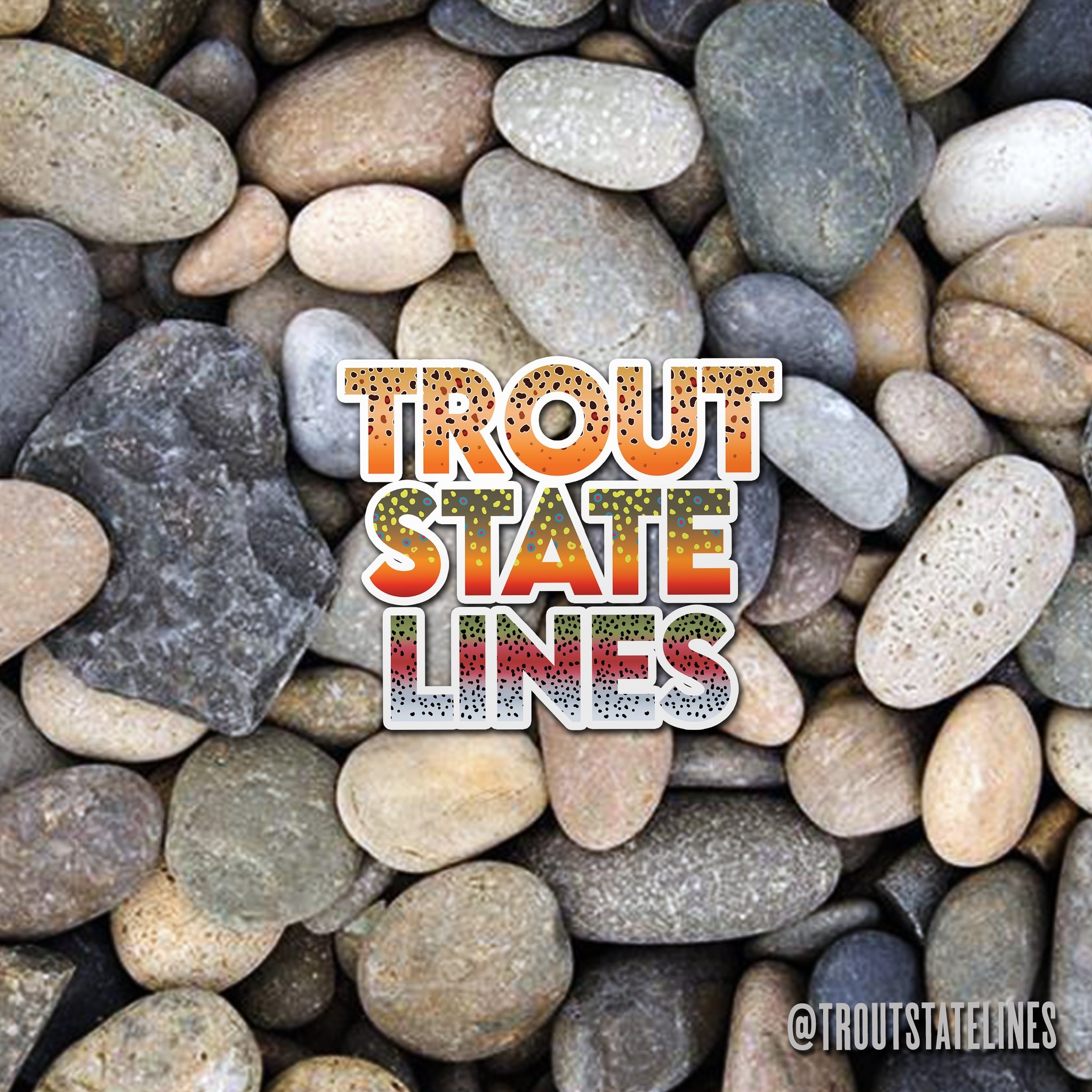 Trout State Lines | Canton GA
