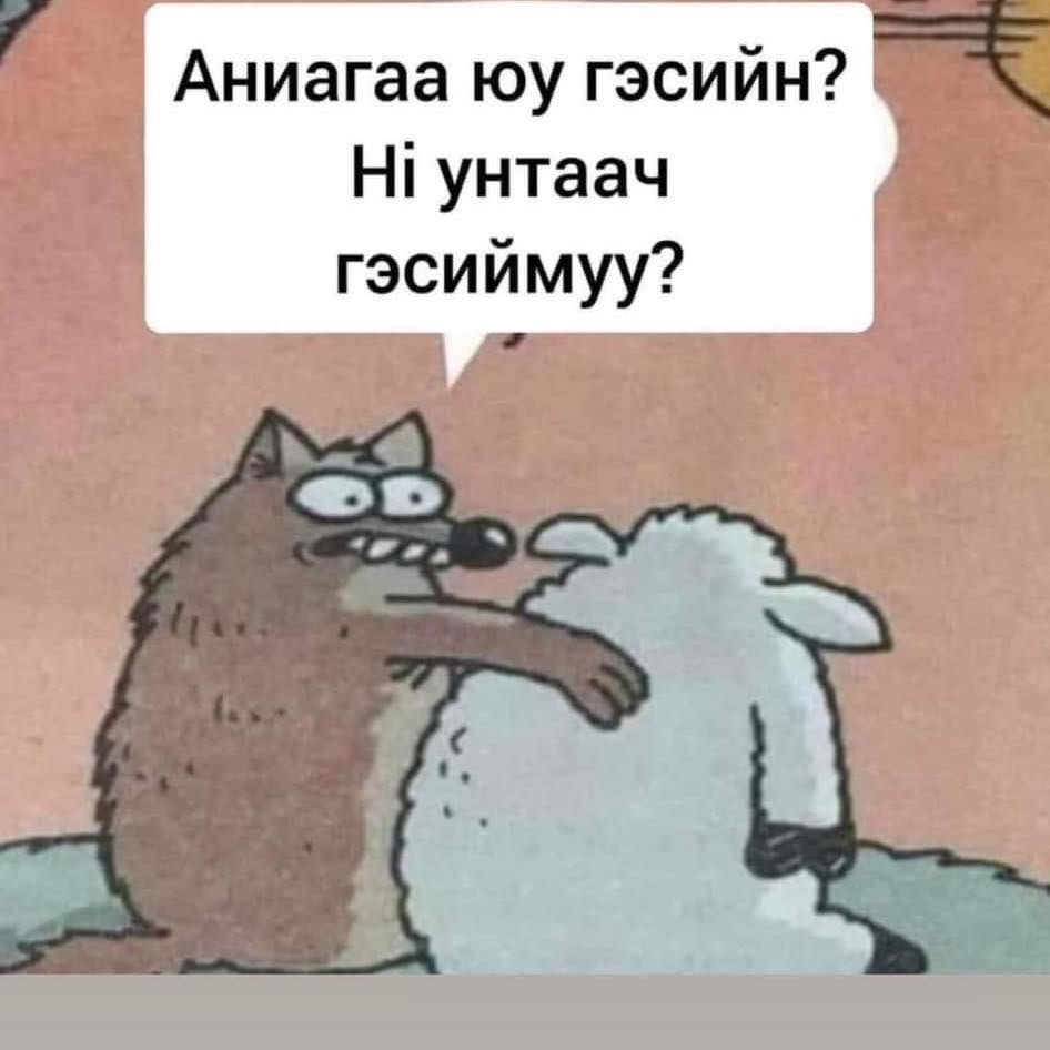 ERDENET AUTO ZAR ЭРДЭНЭТ АВТО ЗАР | 2014-2019.7 Дуу шуу, хийх зүйл ...