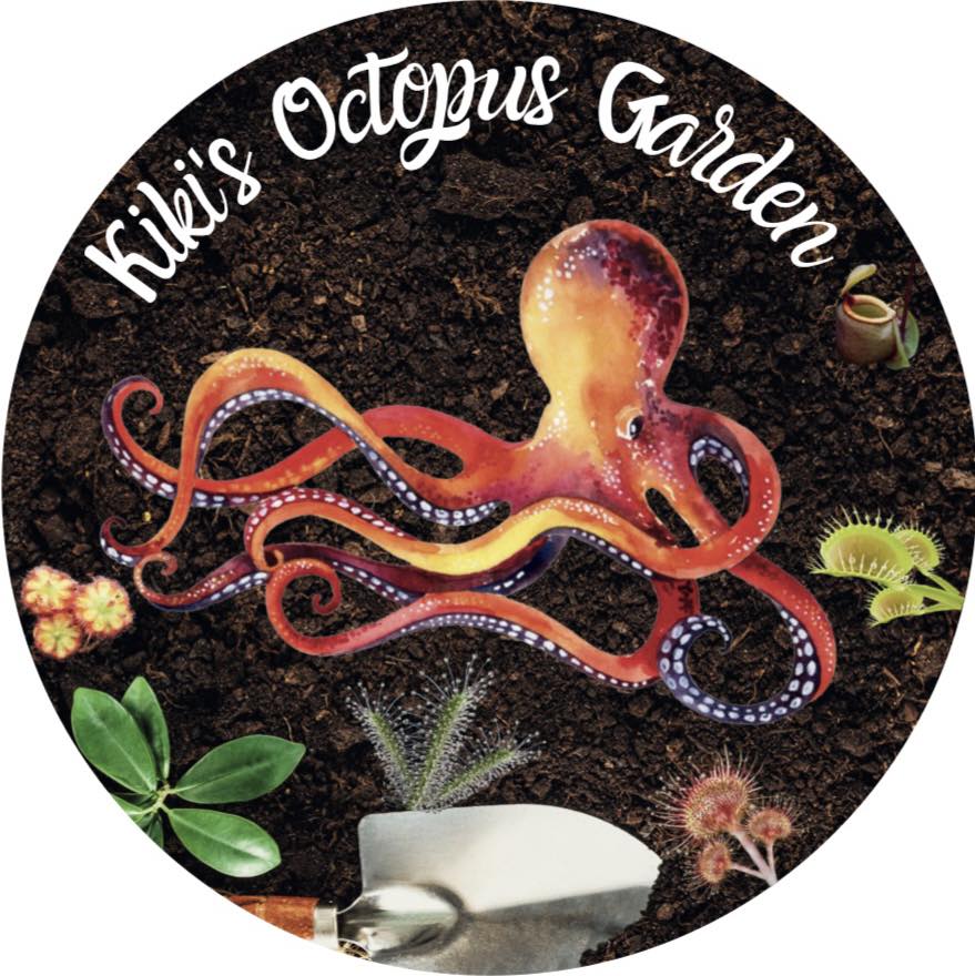 Kiki’s Octopus Garden | Santa Fe TX
