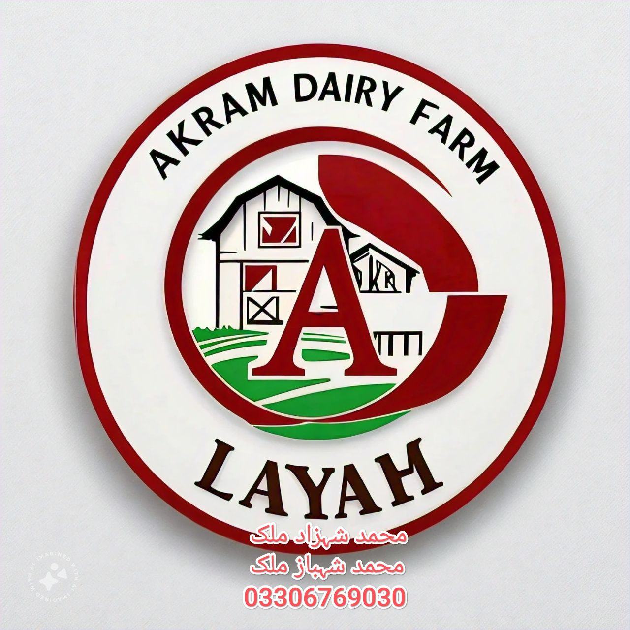 Akram Dairy Farm Layyah | Layyah
