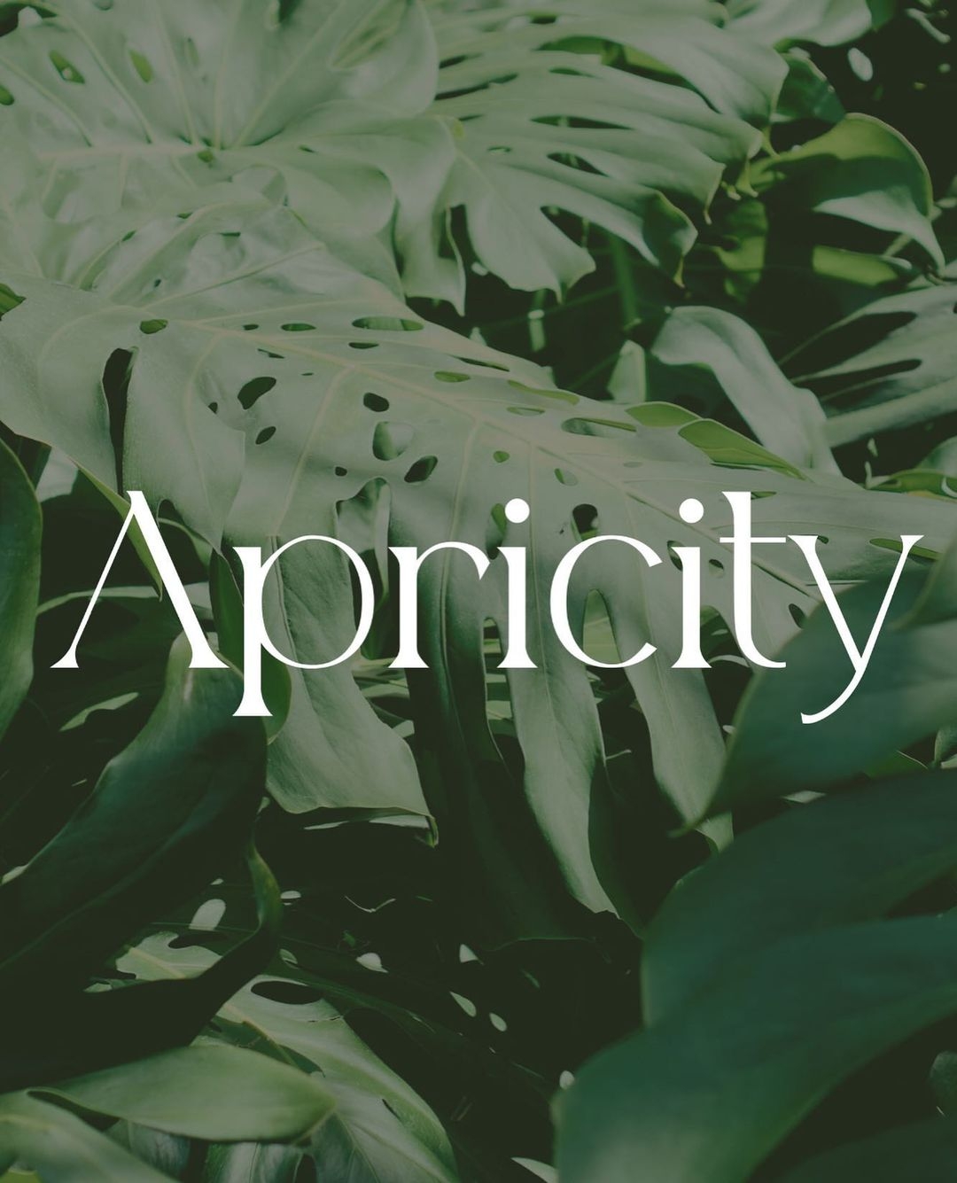 Apricity Beauty | Balneário Camboriú SC