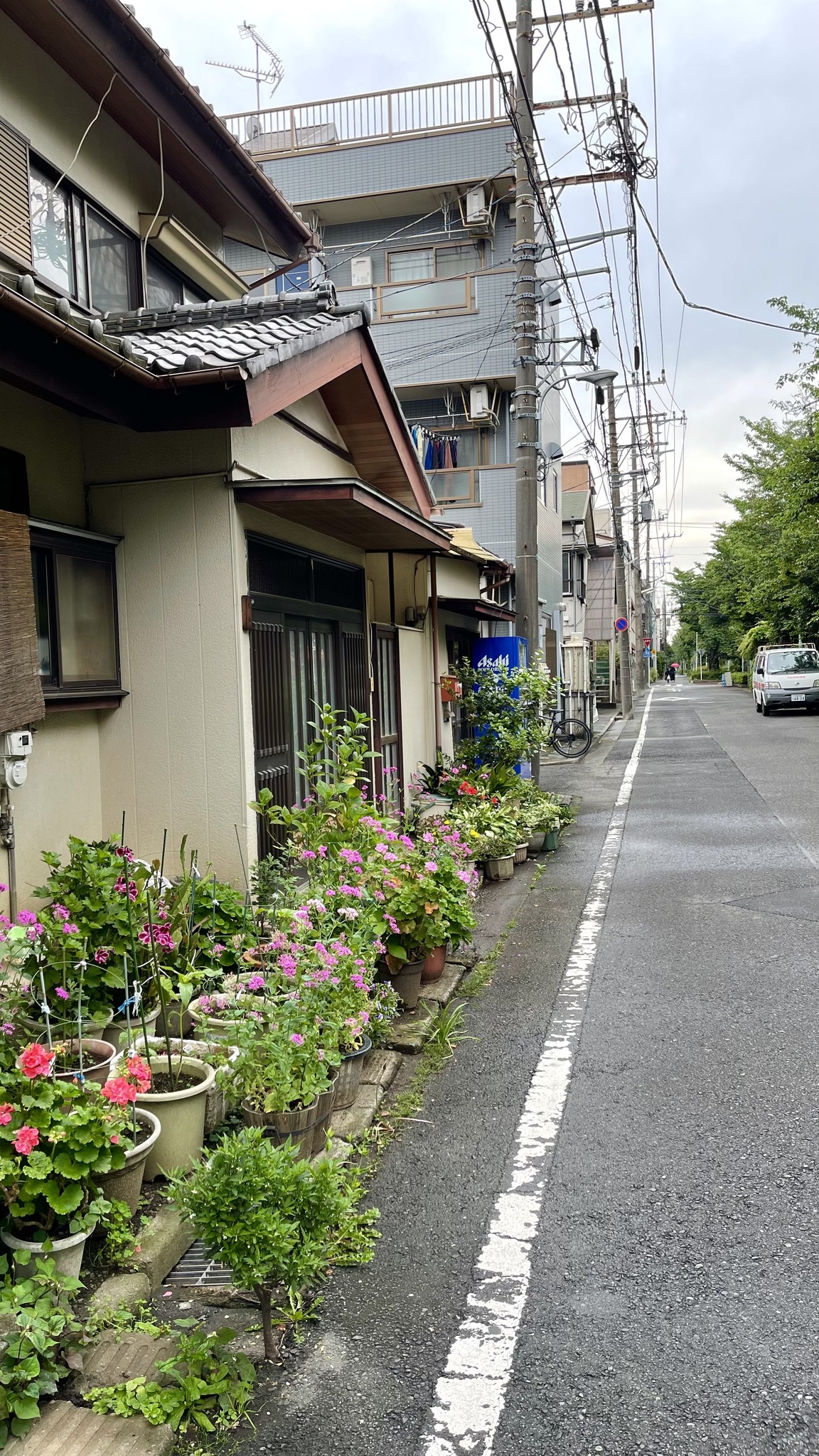 Sayonara Sale さよならセール | Facebook
