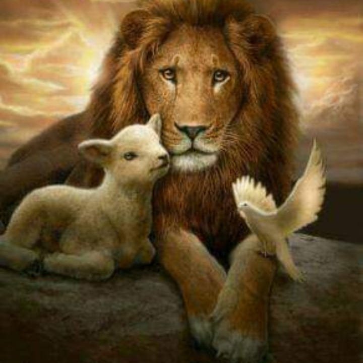 DAILY BIBLE VERSES(English, Sepedi and Setswana) | Facebook