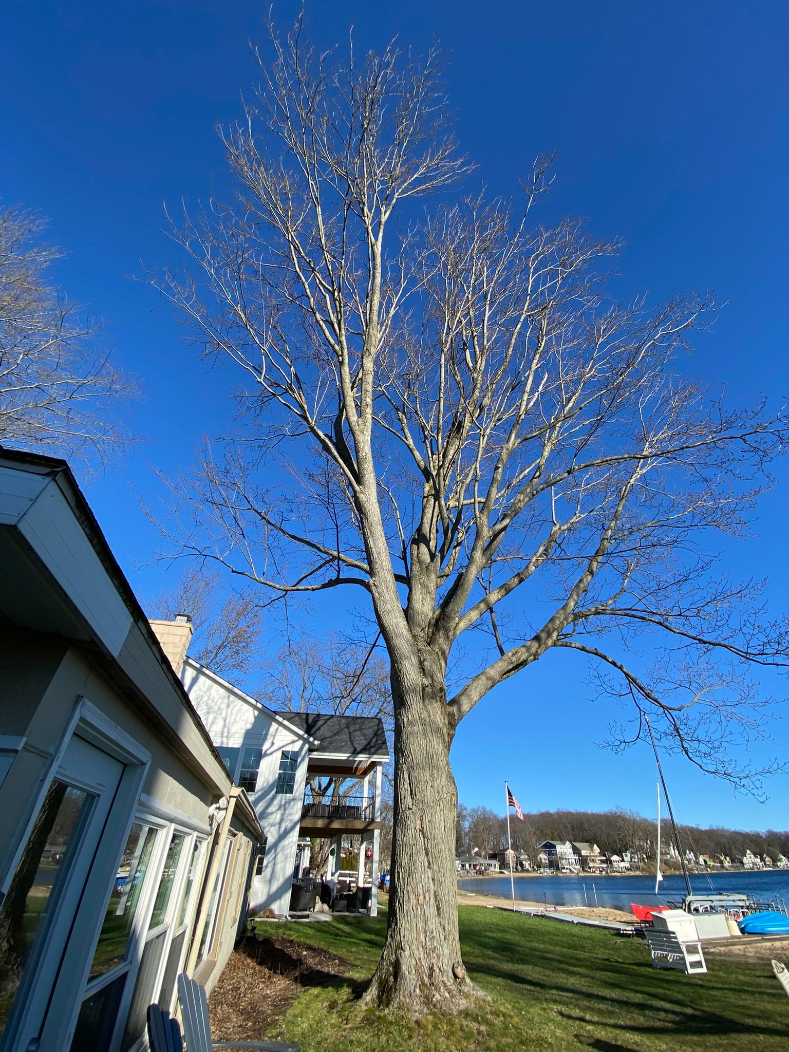 Rogue River Tree Service
