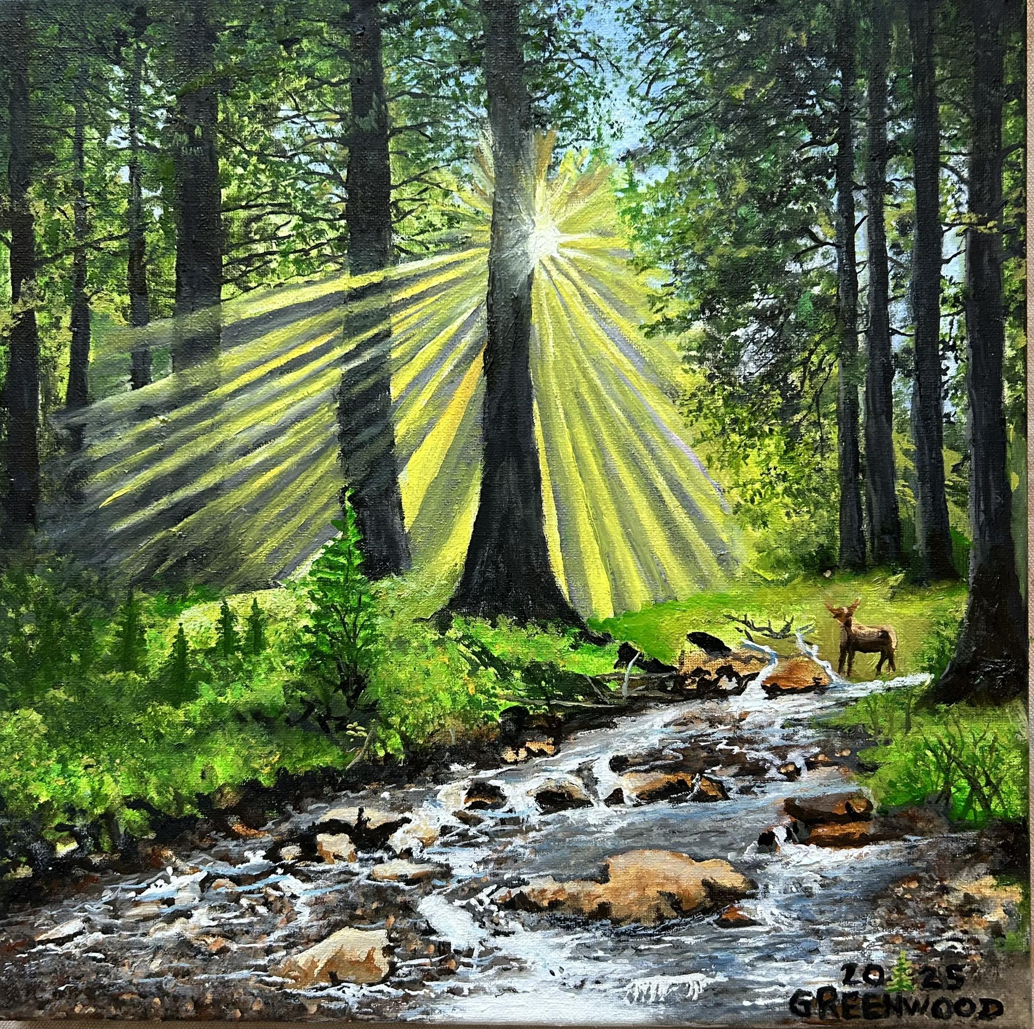 The Forest