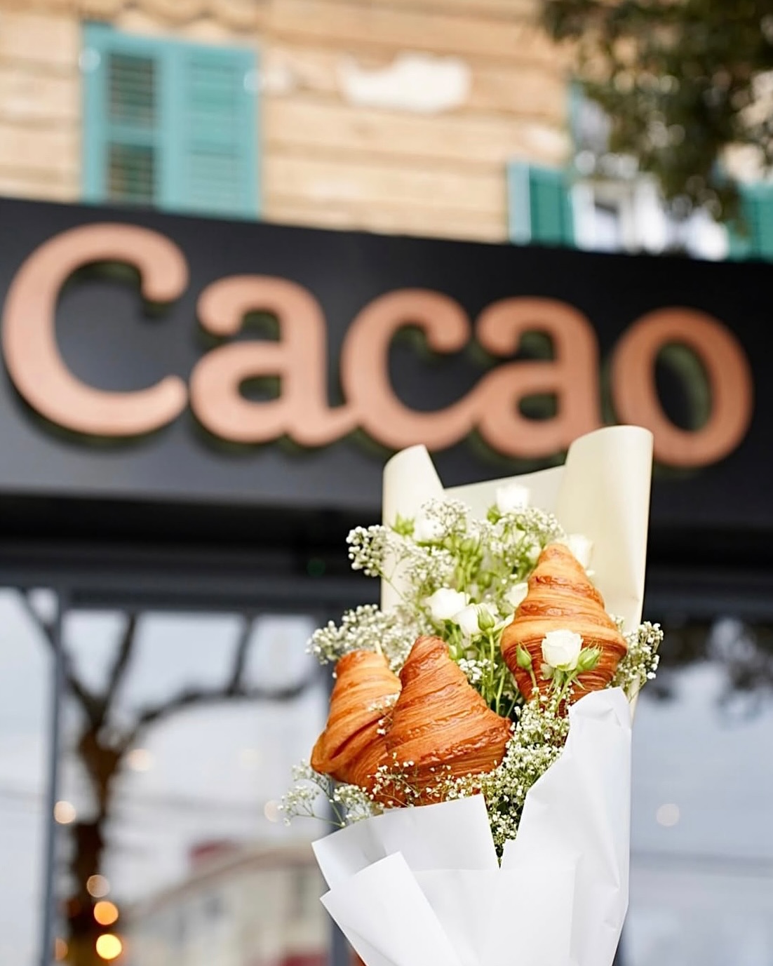 Cacao | Rijeka