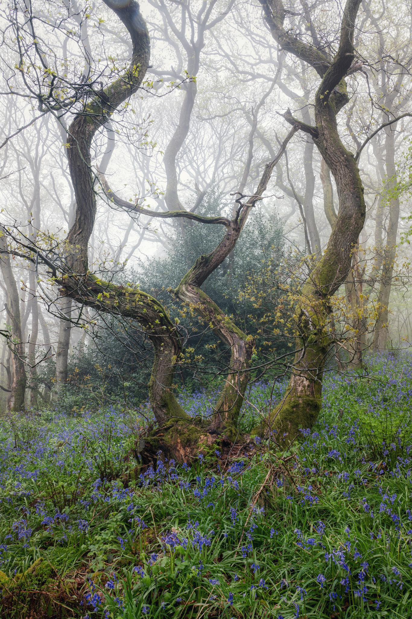 Tom Blockley Photographer