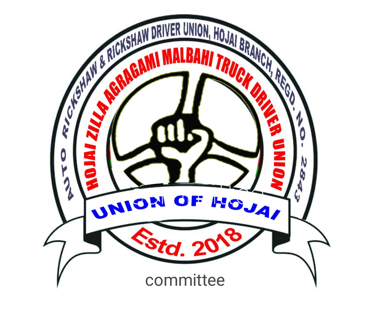 Auto+Rickshaw &E-Rickshaw Driver Union,Hojai