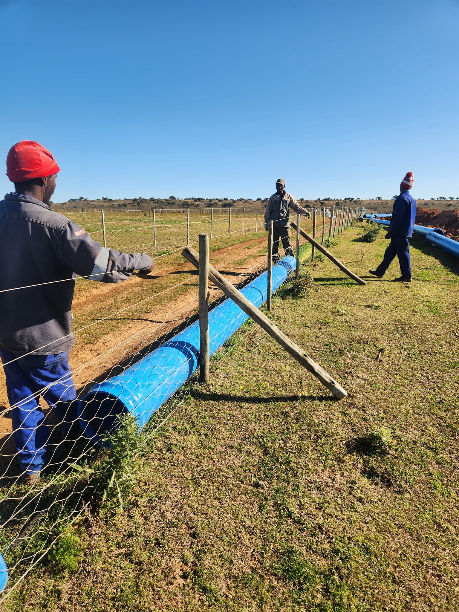 Irrigation Solutions