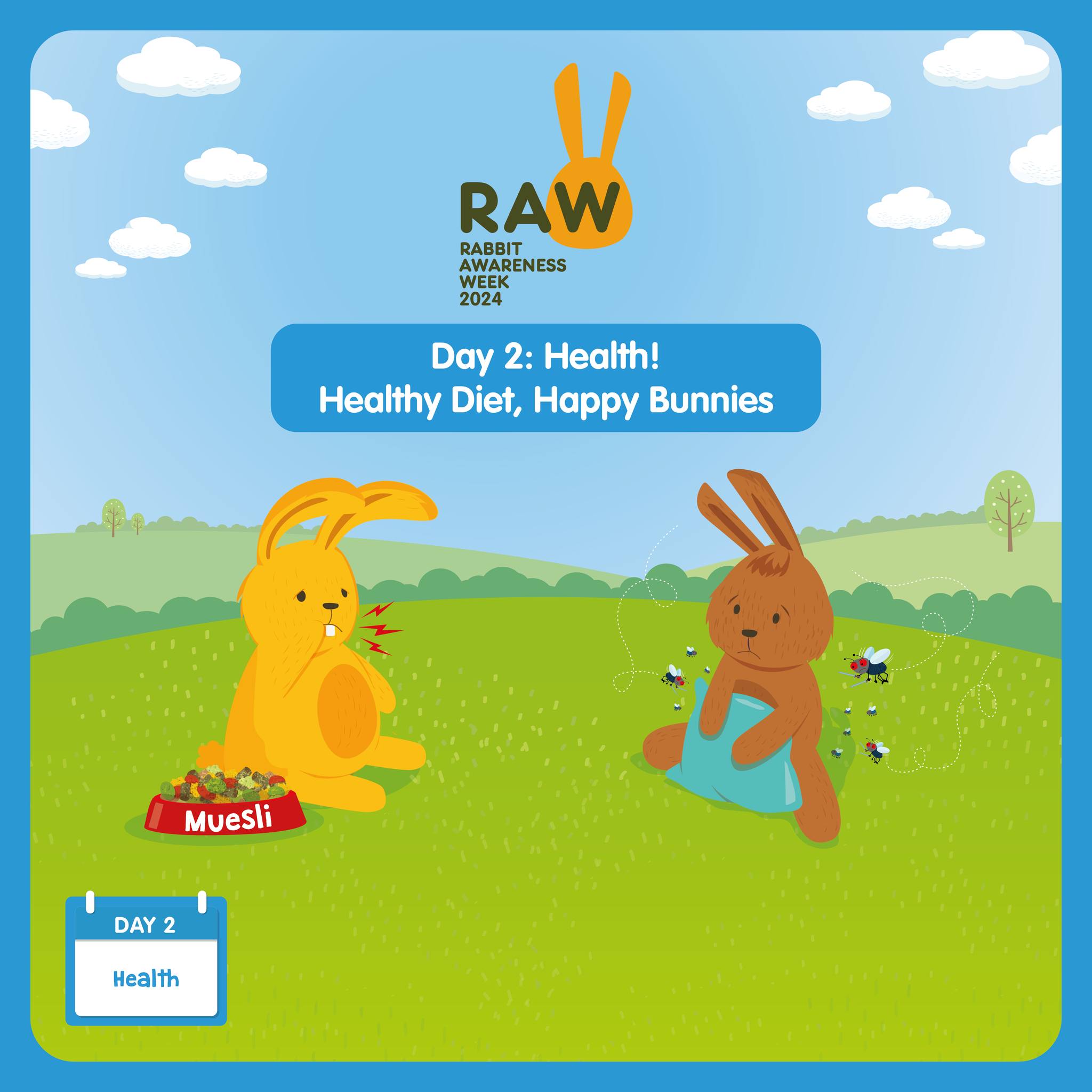 🐰🐰🐰 Rabbit Awareness week: Day 2... - All Pets Vet Care