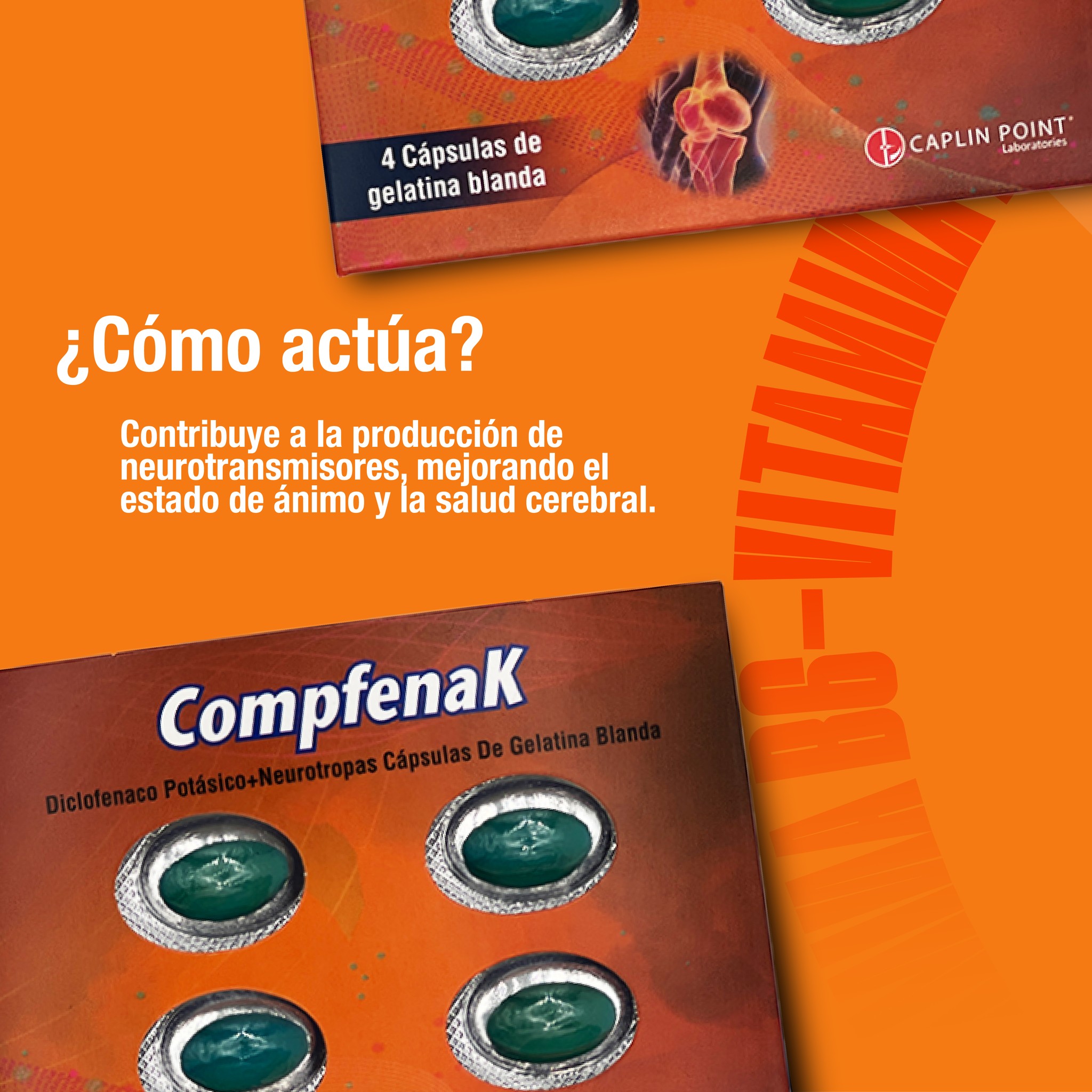 Caplin Point Laboratories Nicaragua | Managua