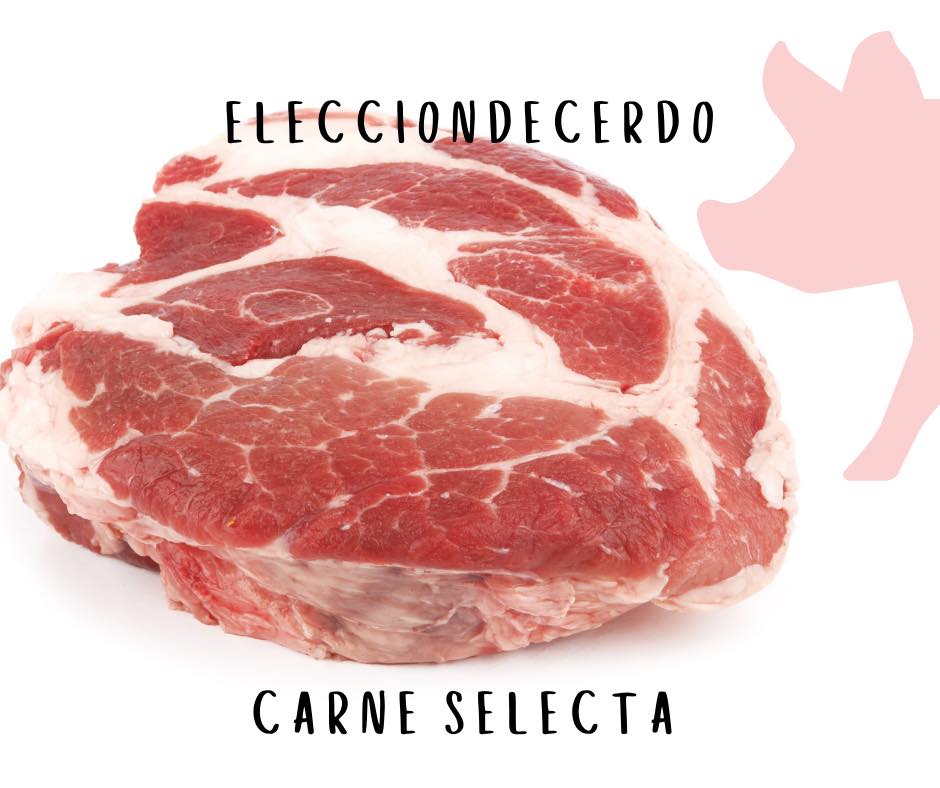 Elecciondecerdo - CAMBIA EL RUMBO DE TU NEGOCIO CON ELECCIÓN DE CERDO 🐽 ...