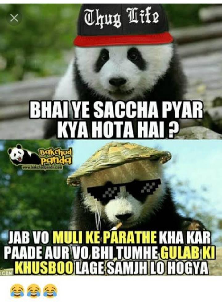 Backhod memes
