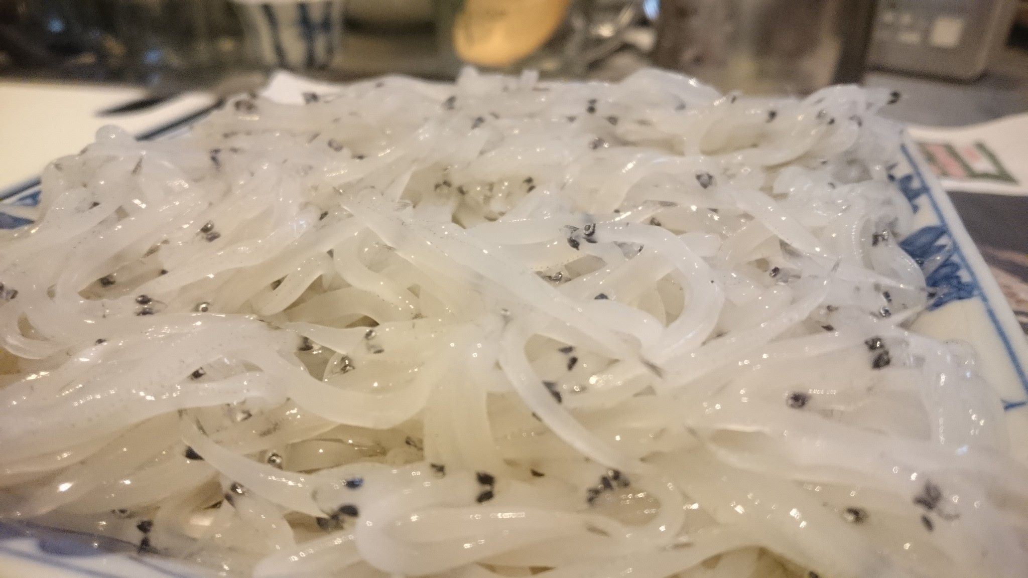 ダウンロード済み 霞ヶ浦 白魚 霞ヶ浦 白魚 時期 Josspixasaf