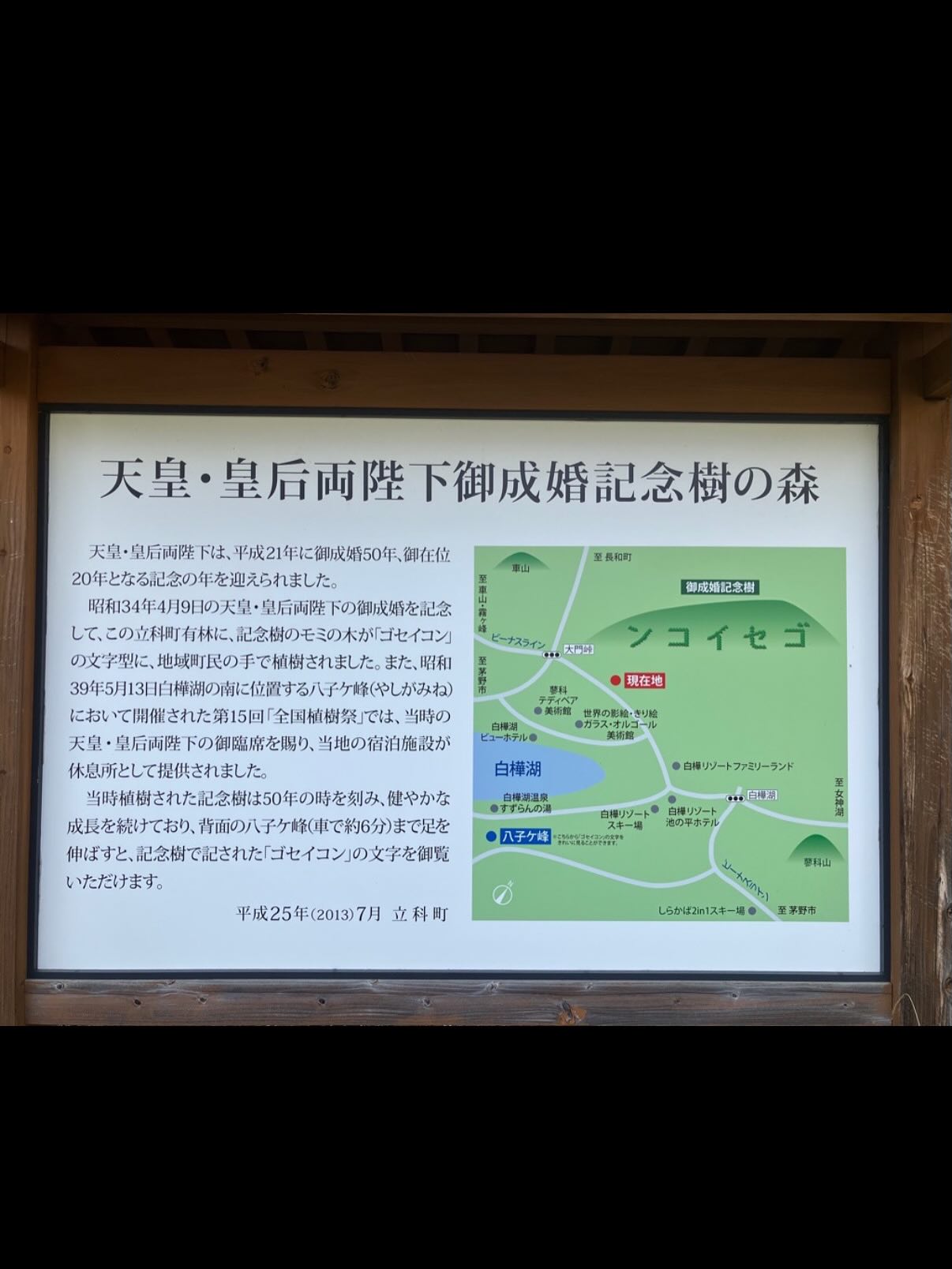 先日放送されたフジテレビ系列【世界の何だコレ！？ミステリー2時間SP