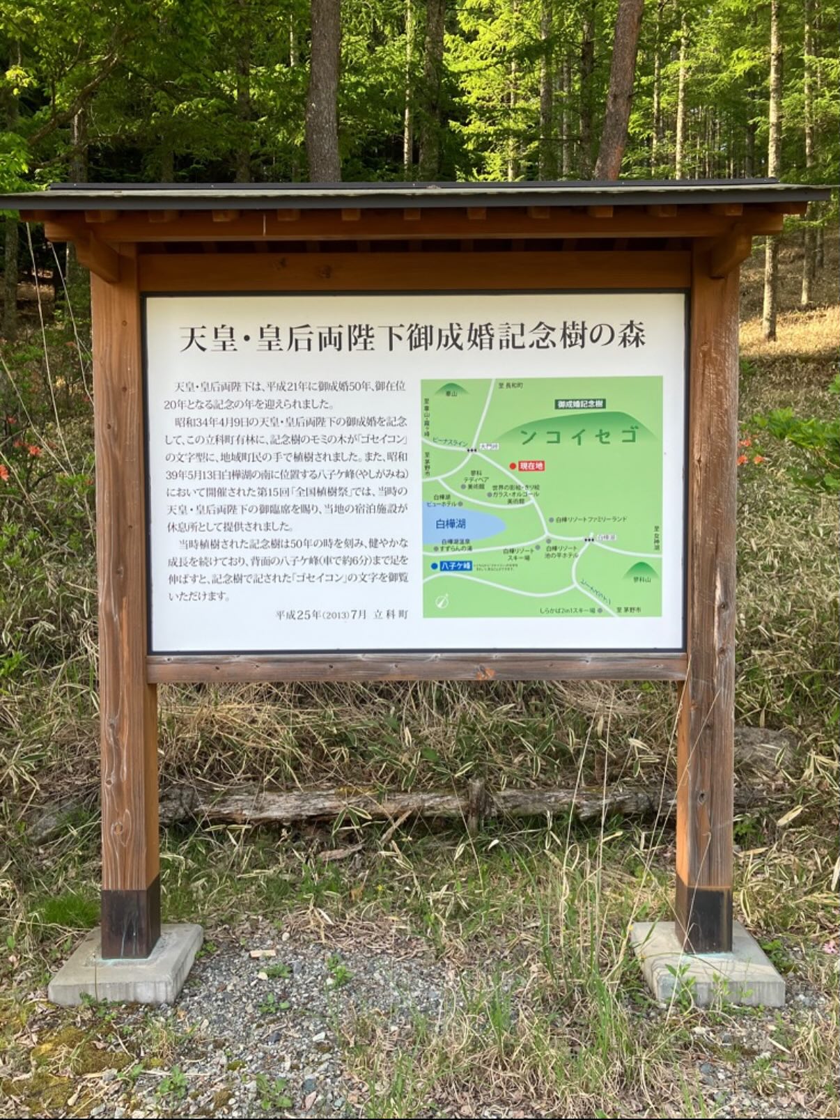 先日放送されたフジテレビ系列【世界の何だコレ！？ミステリー2時間SP