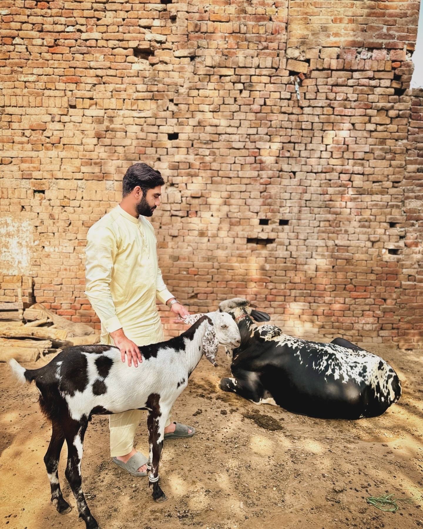 Hashir Aziz