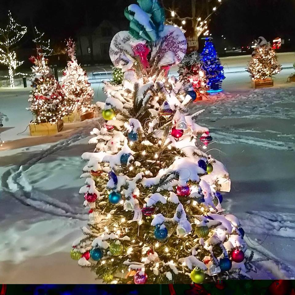 Looks like a Christmas card, doesn't it?! 🎄❄️ Our P.J. Ziegler