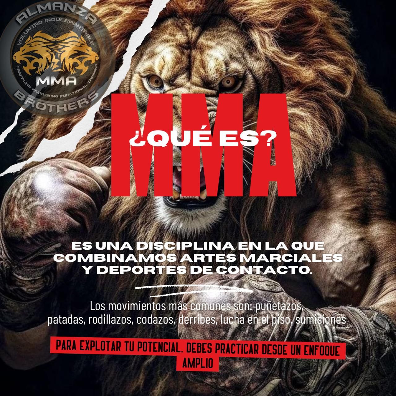 Artes Marciales Mixtas Almanza Brothers Ixtlahuaca - MMA (Artes ...