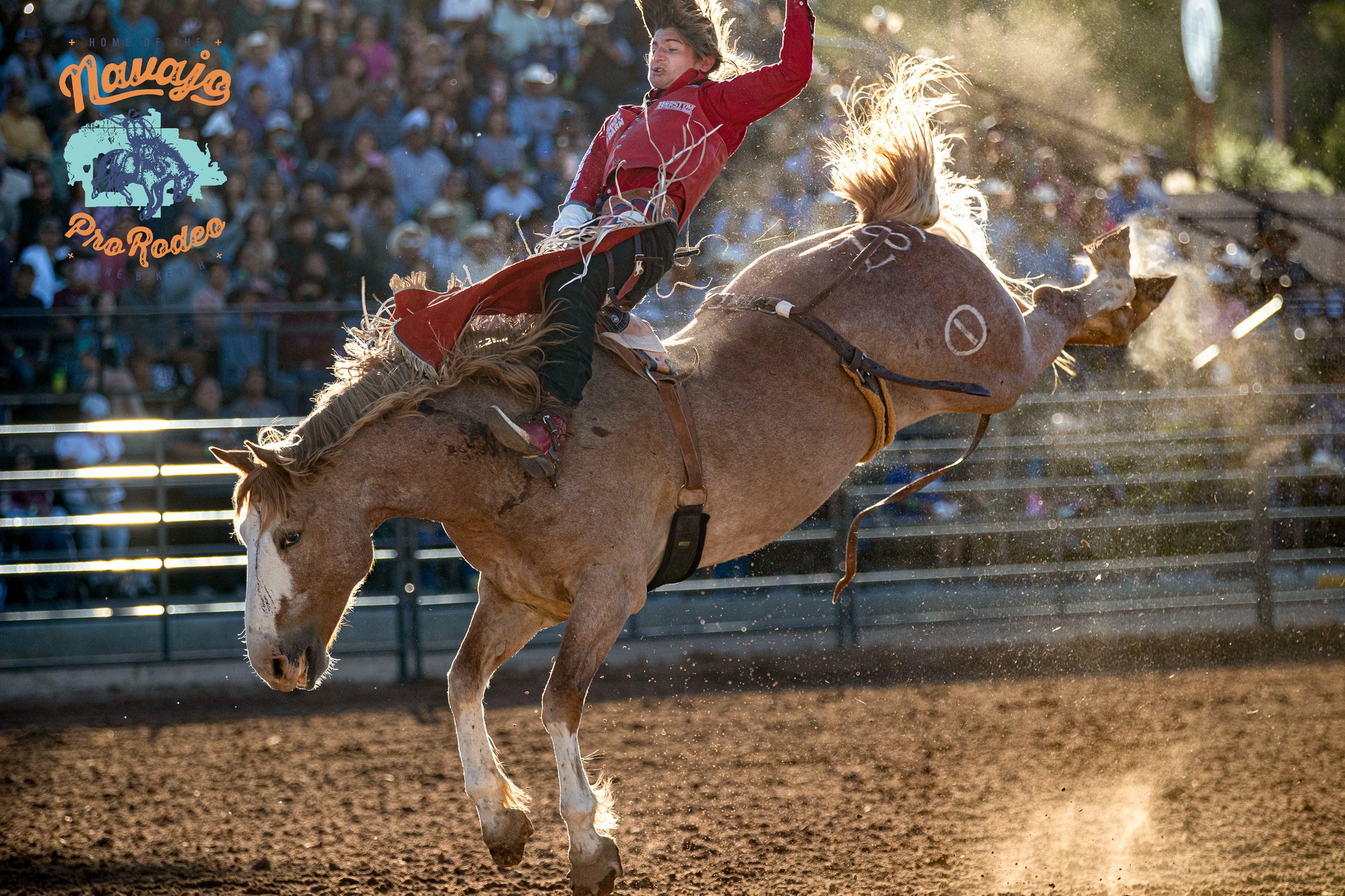 How cool was it to have Rocker... - Navajo Nation Fair | Facebook