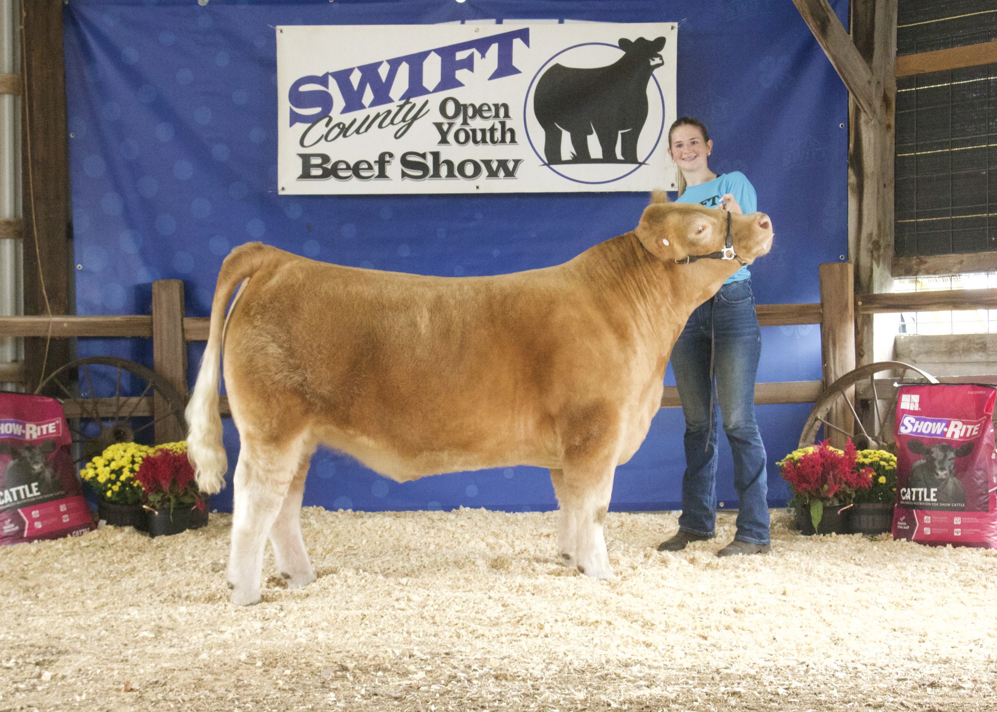 Swift County Open Beef Show | Appleton MN
