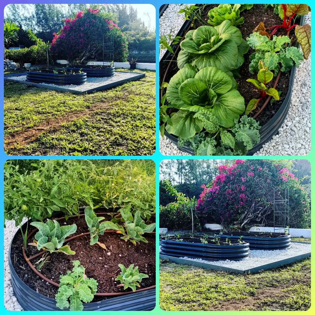 GrowLife Urban Farm & Supplies | Nassau