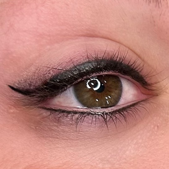 Precision - Client's drawing No make up After tattoo # ...