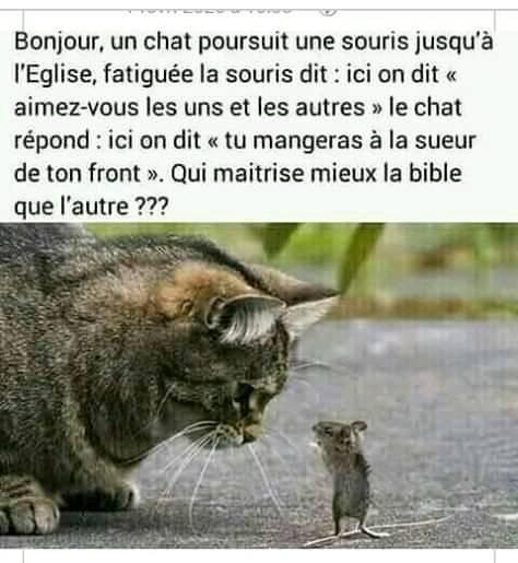 Petit Lion Comedy Club Facebook
