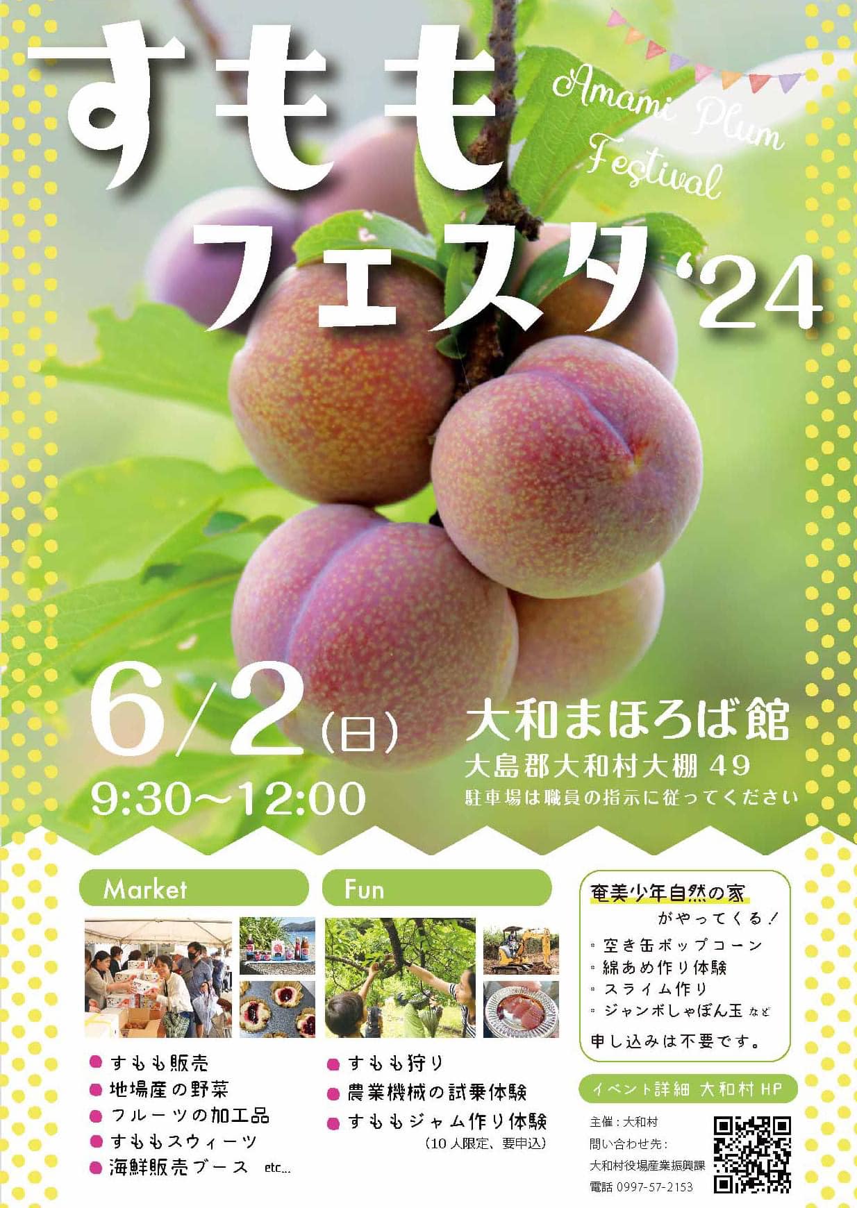 すもも 鹿児島産 無農薬 10kg 無農薬すもも鹿児島県産10キロ すもも 鹿児島