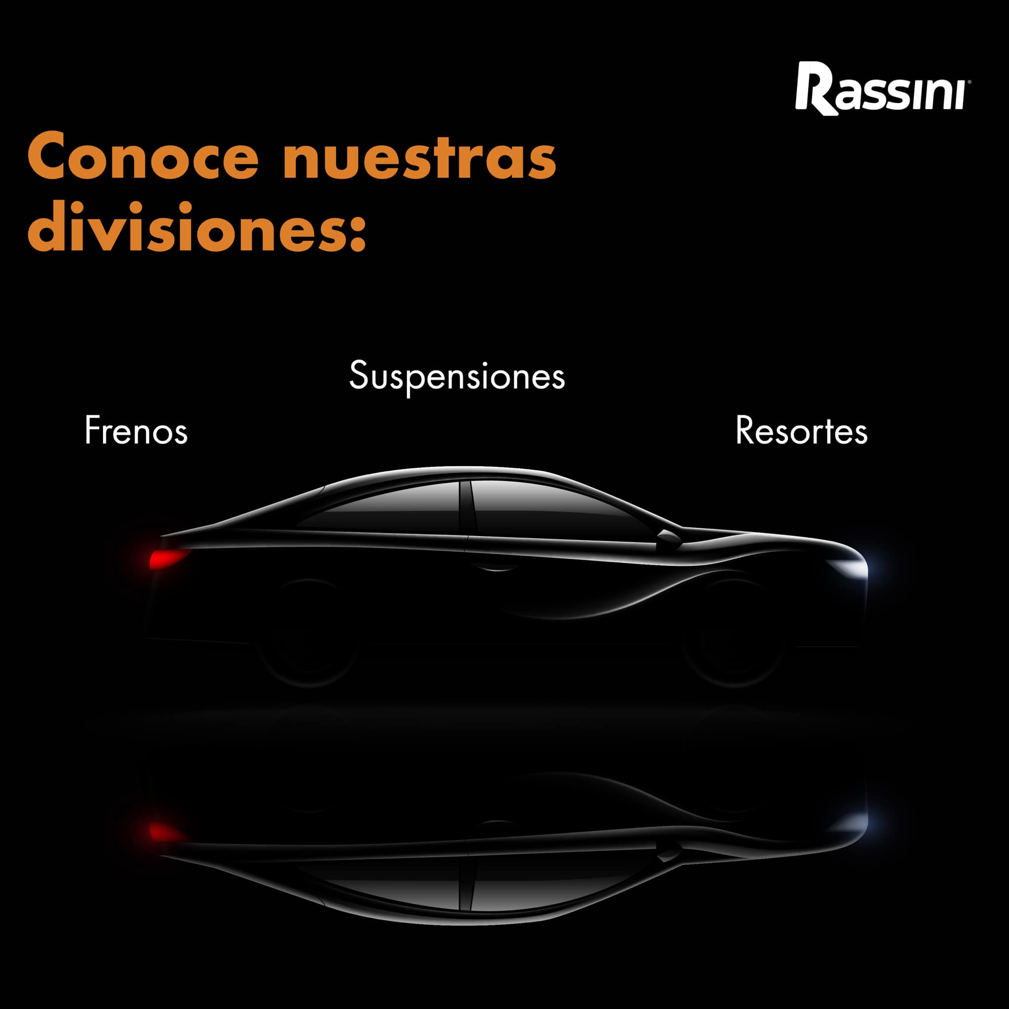 Bolsa de trabajo Rassini Bypasa