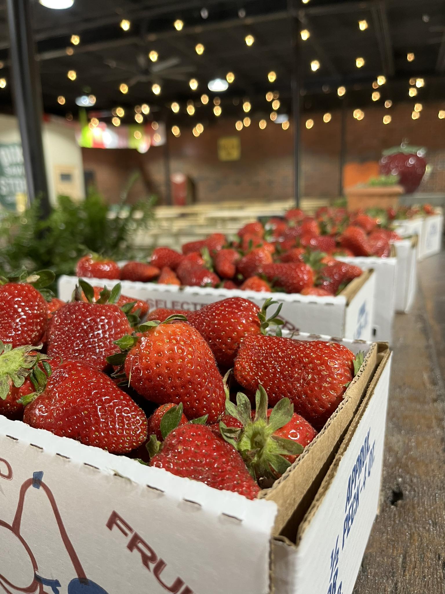 Lazy - Prepicked strawberries 🍓 are picked and ready in the market!! No ...
