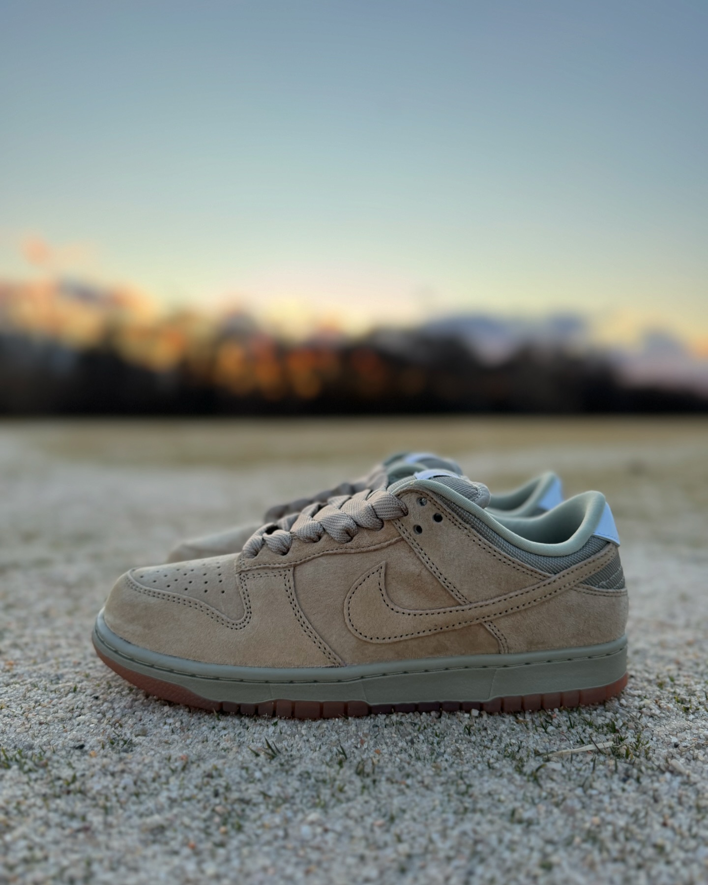 NIKESB DUNK LOW PRO B 