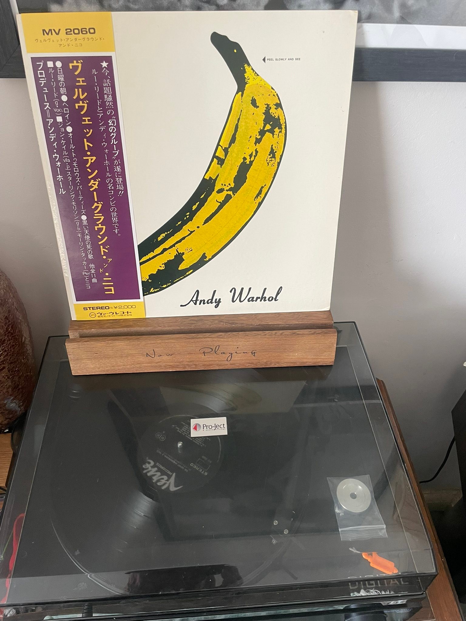 Andy Warhol ヴェルヴェット・アンダーグラウンド MV 2060 THE VELVET