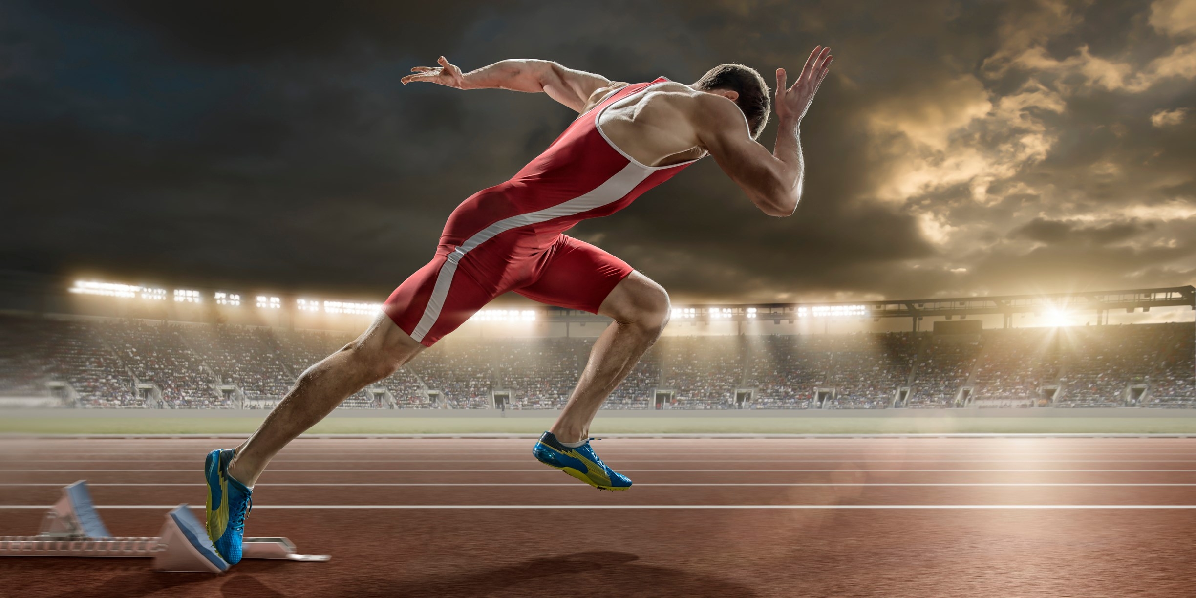 Exercise Therapy Systems | Auckland