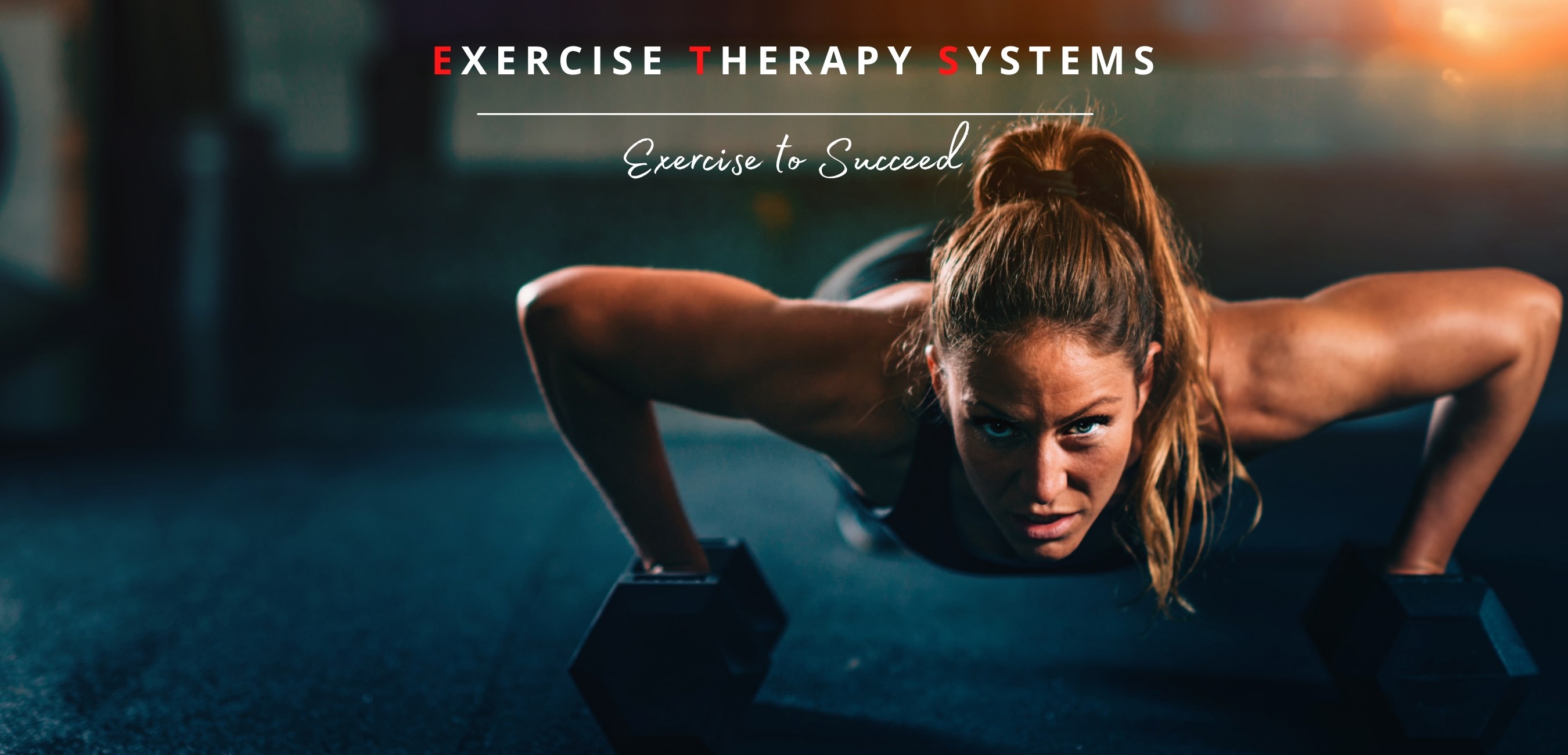 Exercise Therapy Systems | Auckland