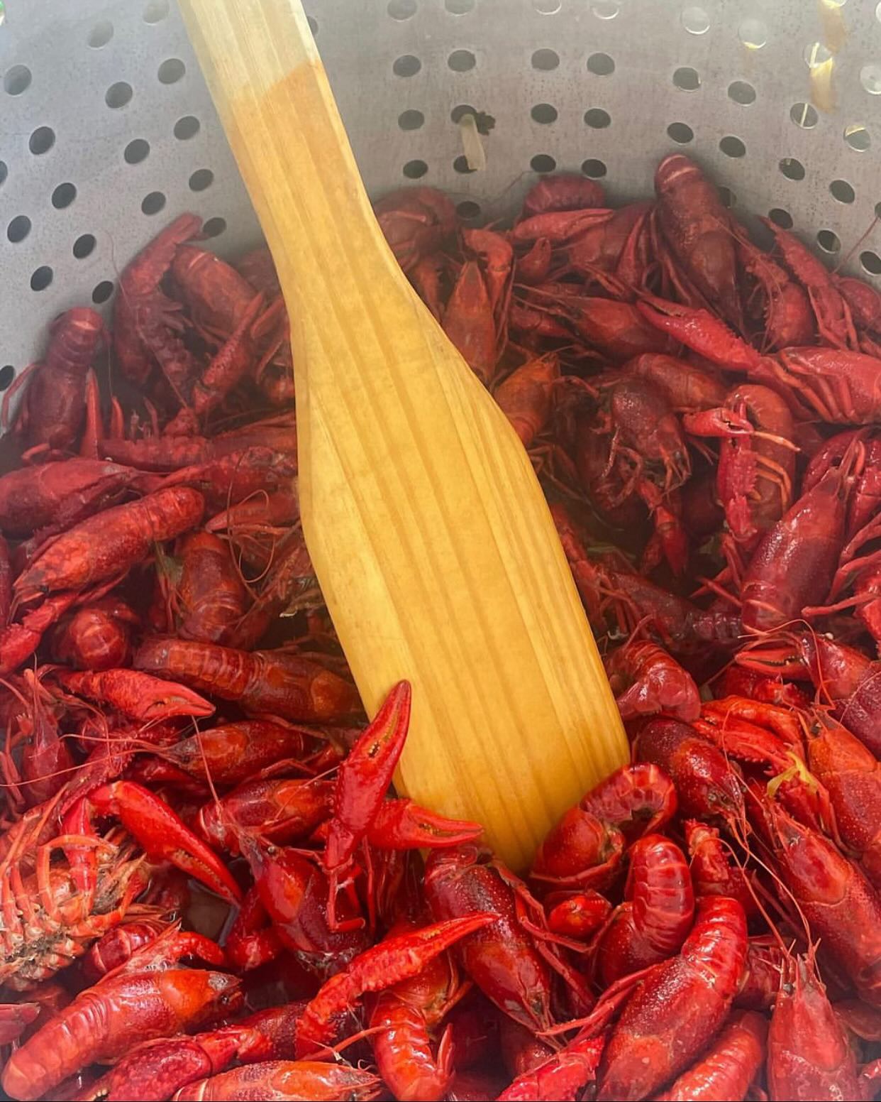 Shells and Tails 2 Geaux | DeSoto TX