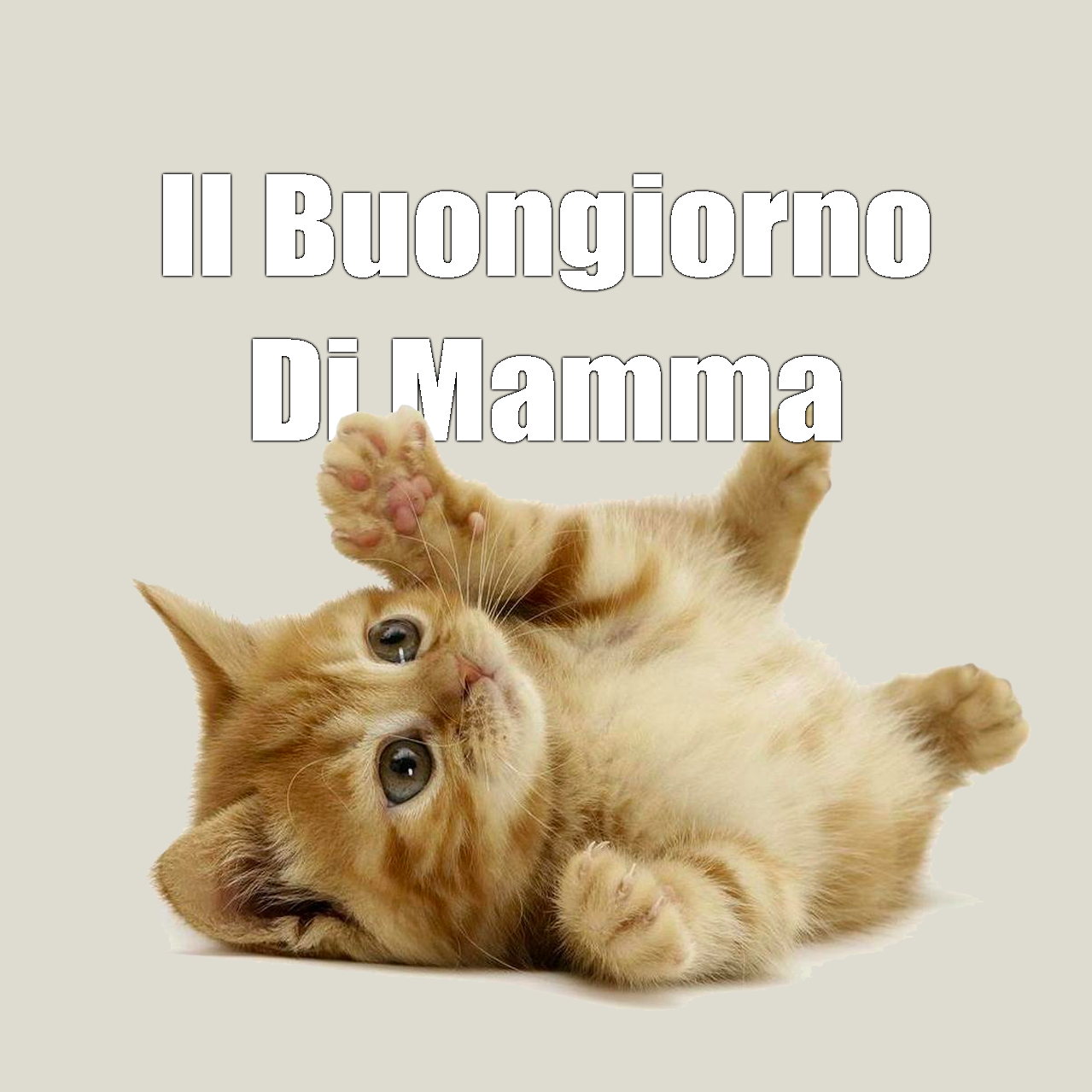 Il Buongiorno di Mamma - Uno splendido buongiorno a tutti e a tutte ️ # ...