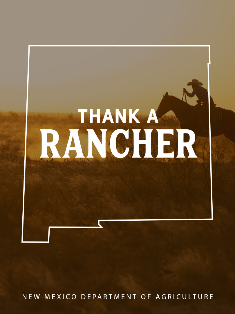 The HAY Ranch
