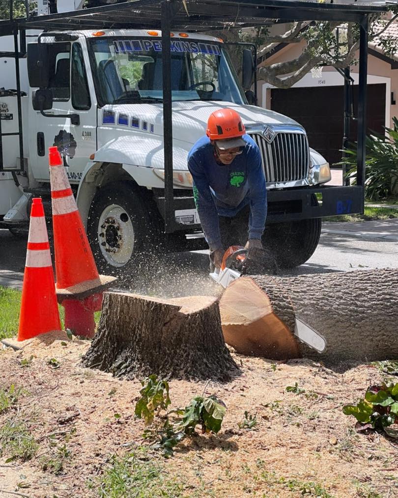 Perkins Tree & Landscape Services | West Palm Beach FL